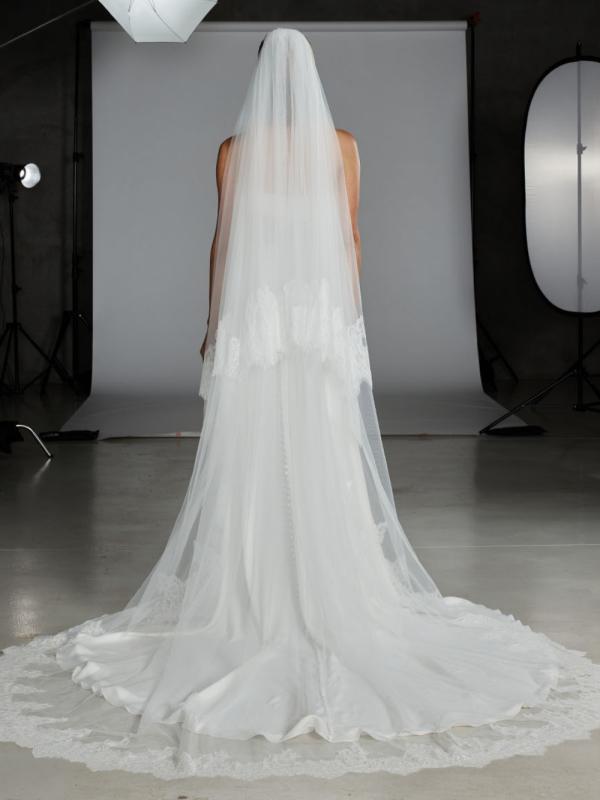 Astaire Veil