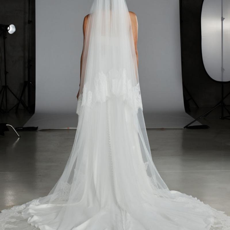 Astaire Veil