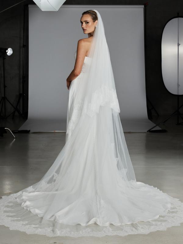 Astaire Veil - Hover