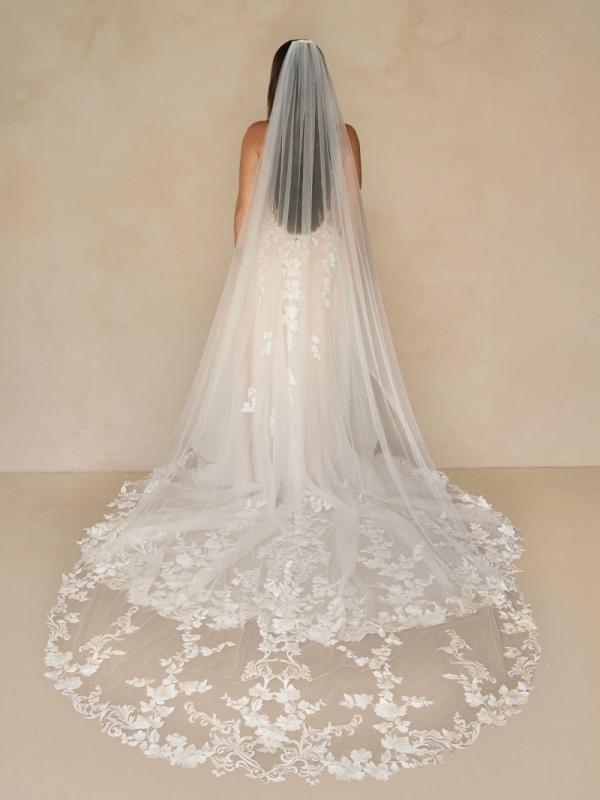 Warner Veil