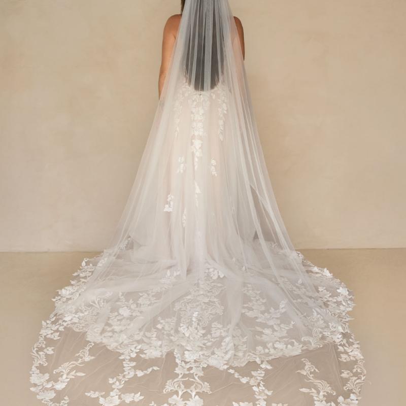 Warner Veil