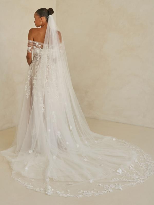 Willa Veil - Hover