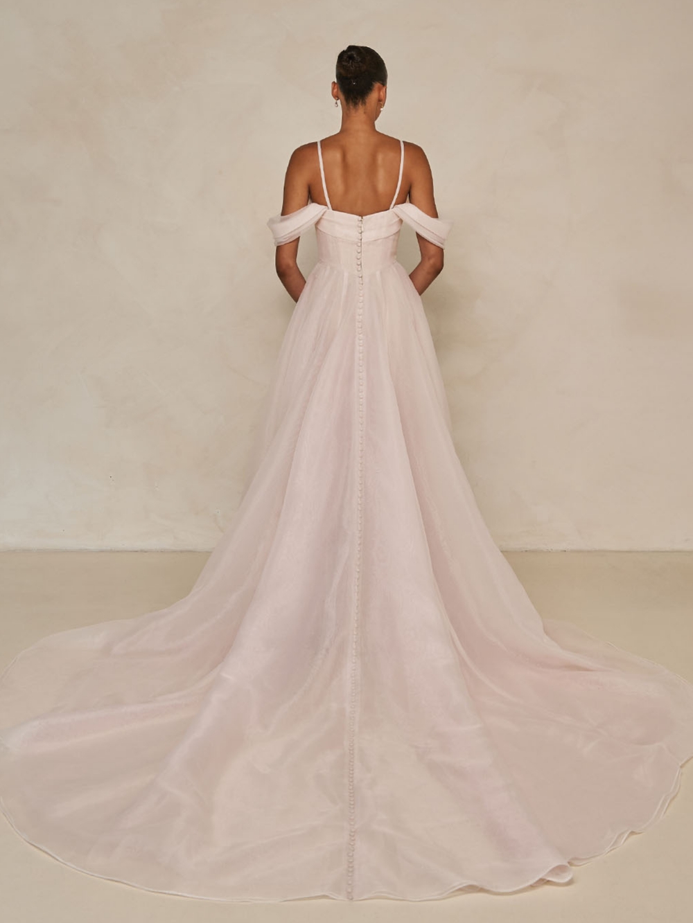 Wisteria_ML25622 – 2