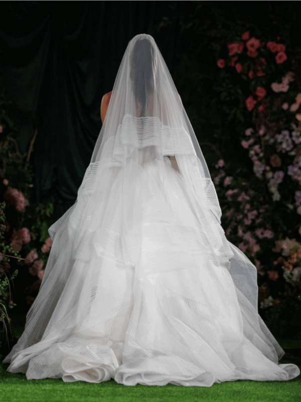 Once I Was A Swan Veil