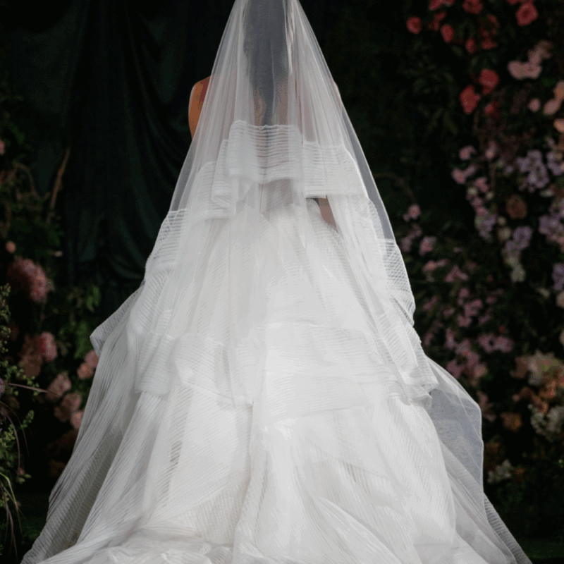 Once I Was A Swan Veil