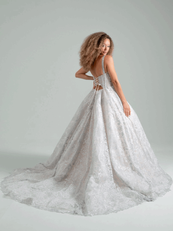 Silver Springs - Hover