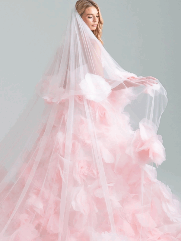 The Rachel Veil - Hover