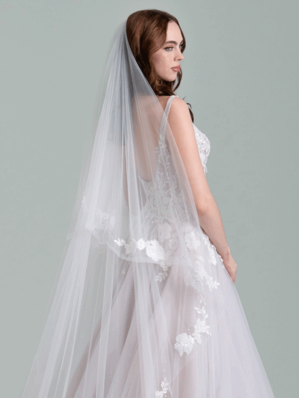 Wingardium Veil - Hover